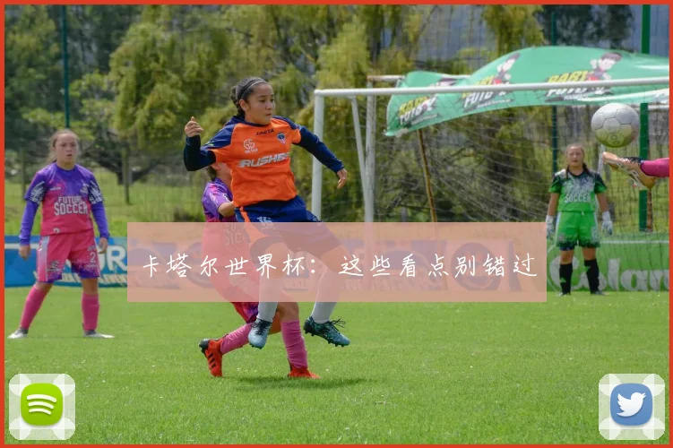卡塔尔世界杯：这些看点别错过