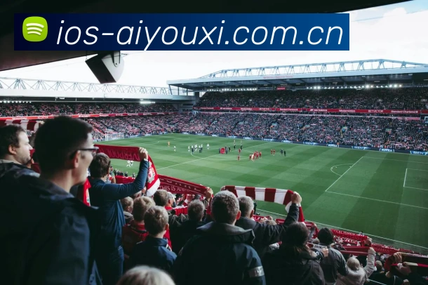 爱游戏体育品牌故事